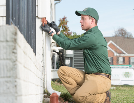 We're Committed to Providing Effective, Professional Pest Extermination professional-pest-control-company-near-me-baltimore-maryland