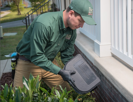 Discover How Our Home Protection Plan Prevents Pests from Your Home and Business preventative-pest-control-services-near-me-baltimore-maryland