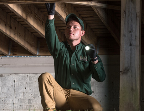 Learn More about Our Home Protection Plan Quarterly Pest Control Services in Baltimore MD brody-brothers-professional-completing-pest-control-services-baltimore-maryland
