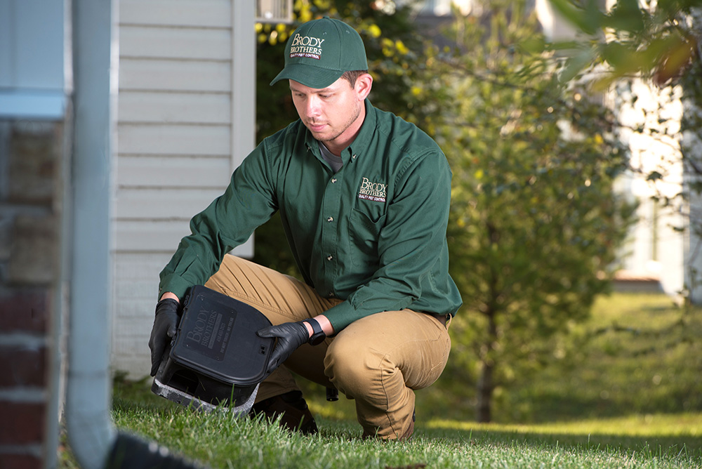 Discover How Our Home Protection Plan Prevents Pests preventative-pest-control-services