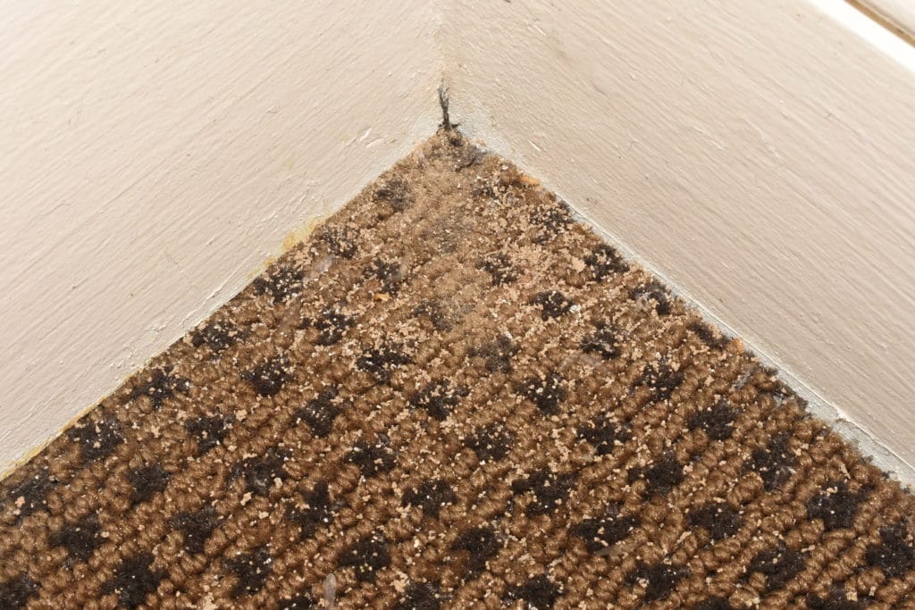 Signs of Termite Damage in Baltimore Homes