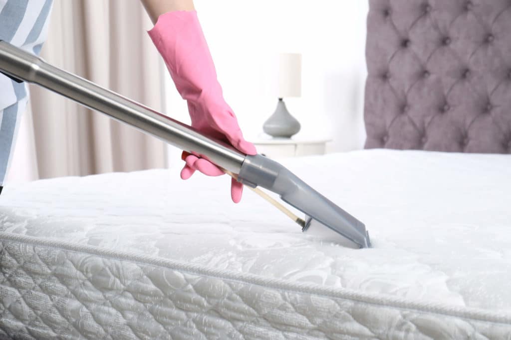 Some DIY Treatments Include Trying to Vacuum Your Bed and Bedding vacuum-bed-to-treat-bed-bugs-md
